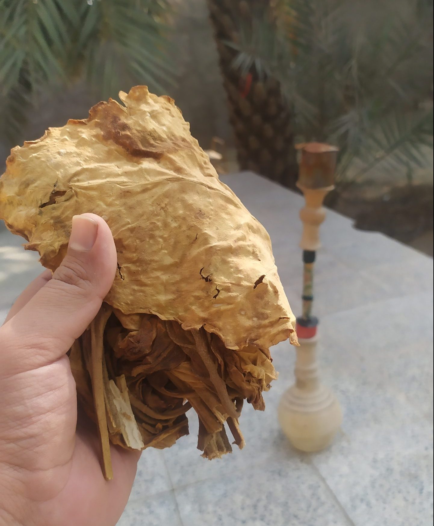 قلیان و تنباکو برازجانی اصلی